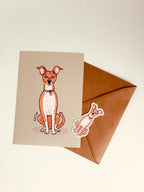 Pet portrait · Mini print + sticker