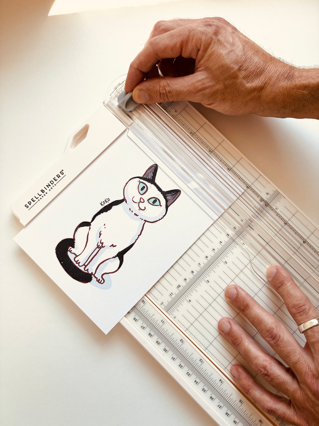 Pet portrait · Mini print + sticker