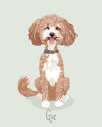 Pet portrait