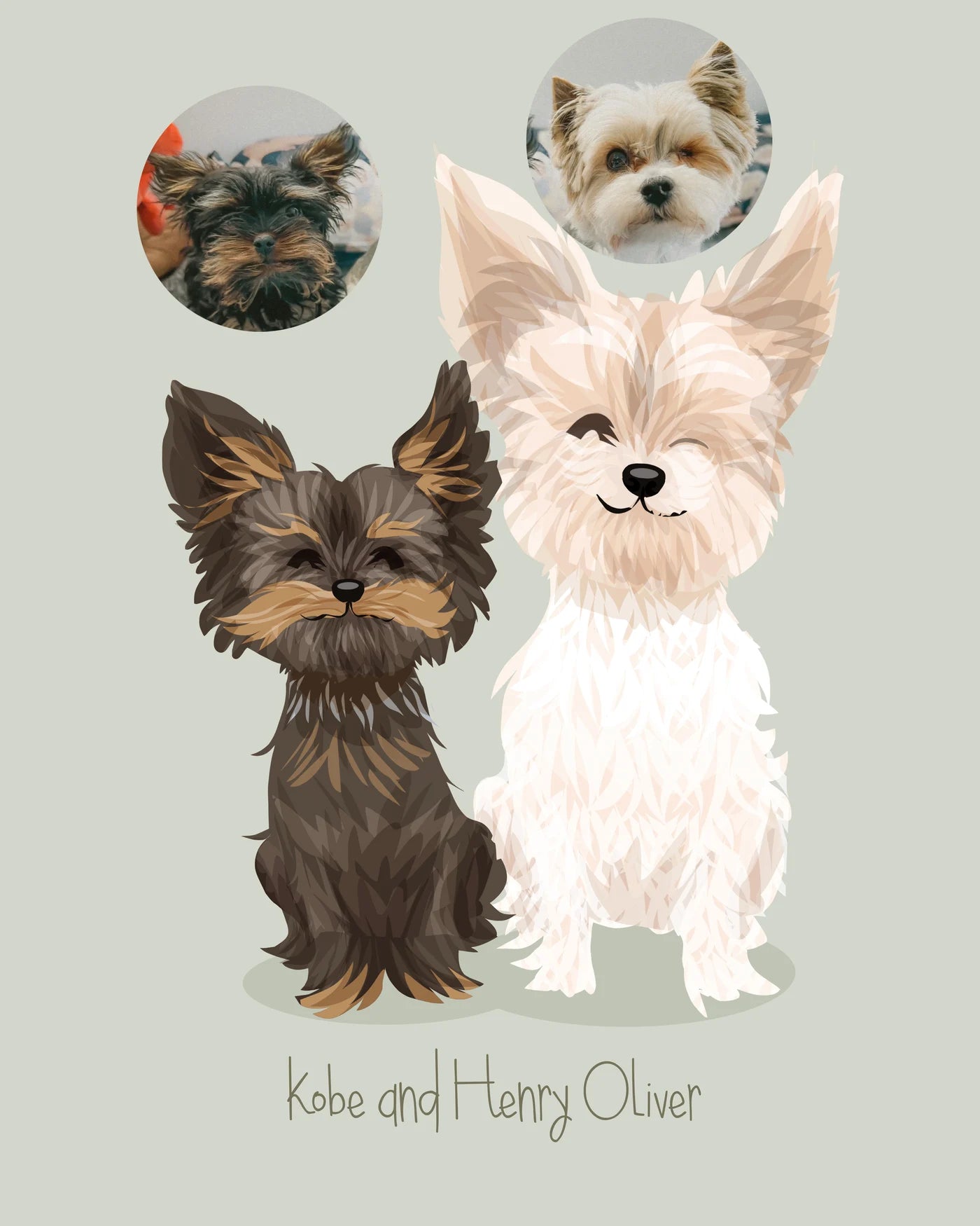 Pet portrait