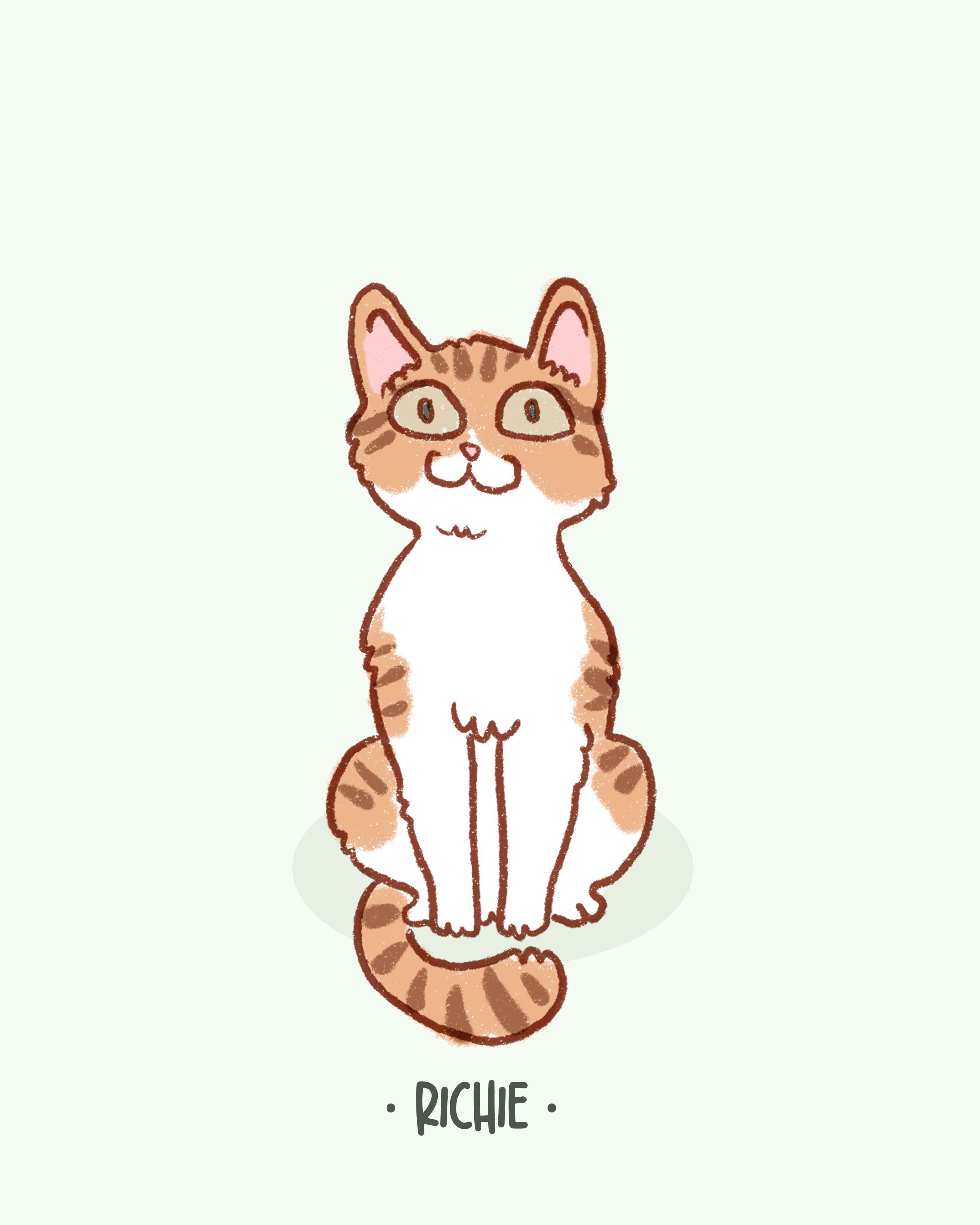 raw pet