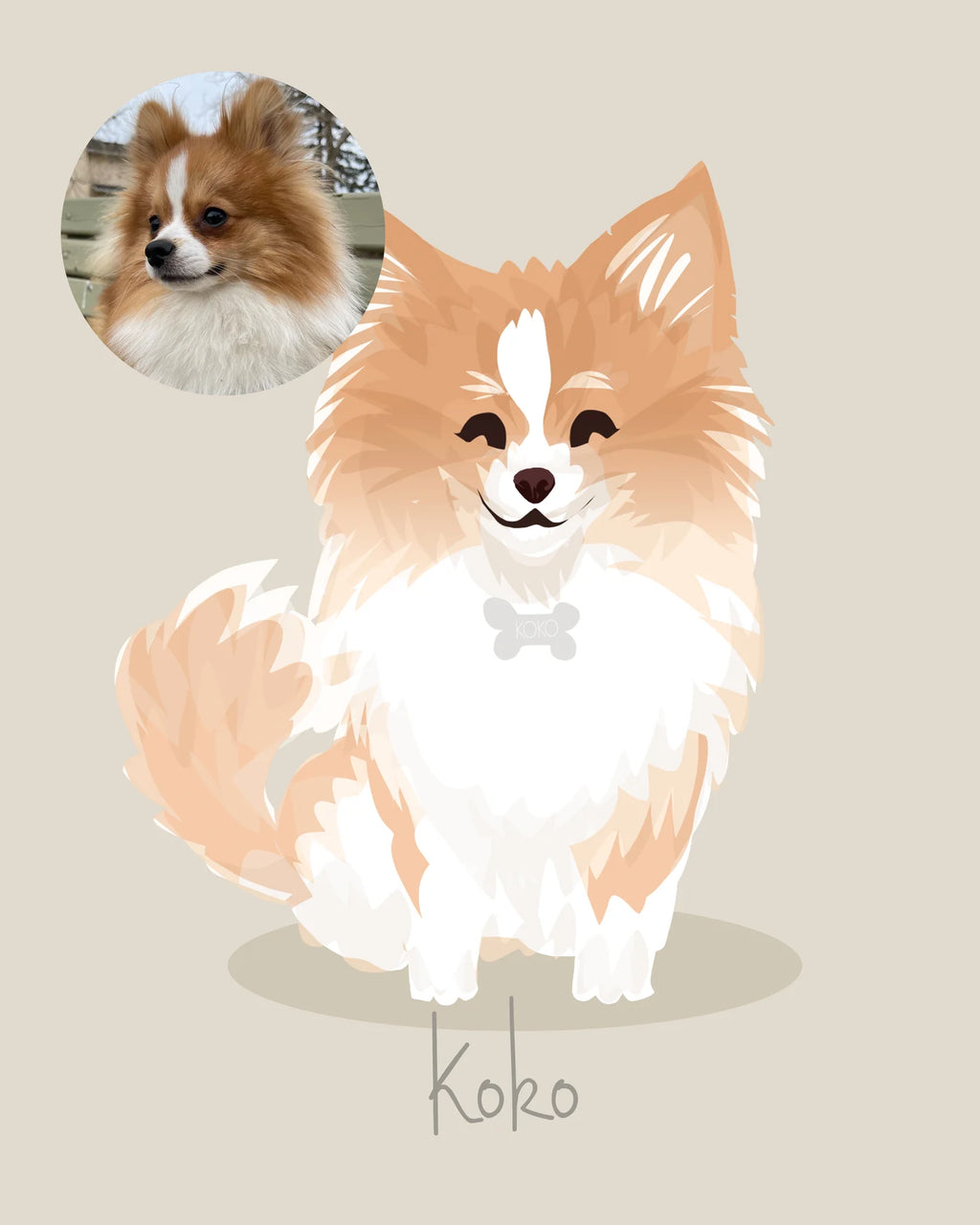 Pet portrait