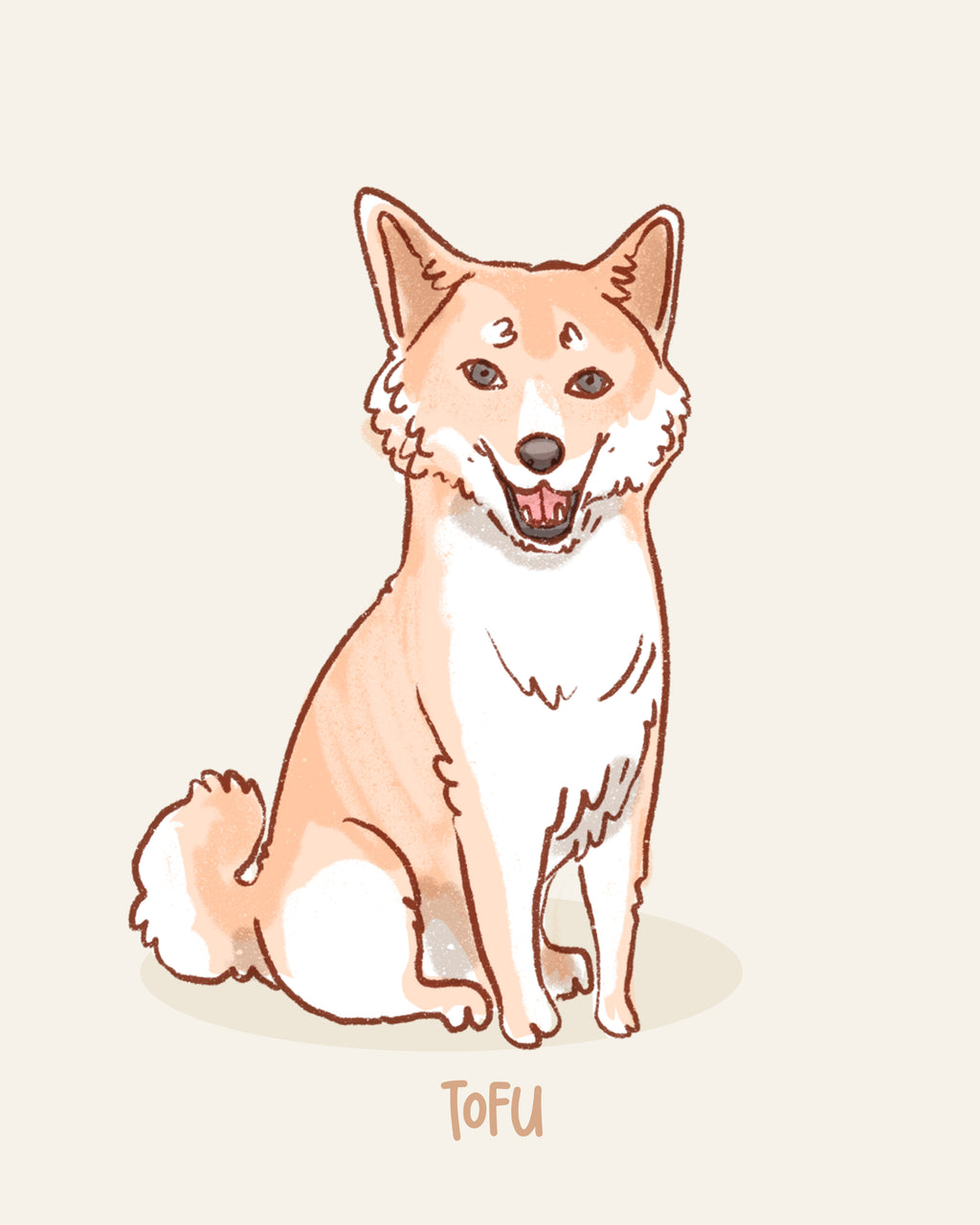 raw pet