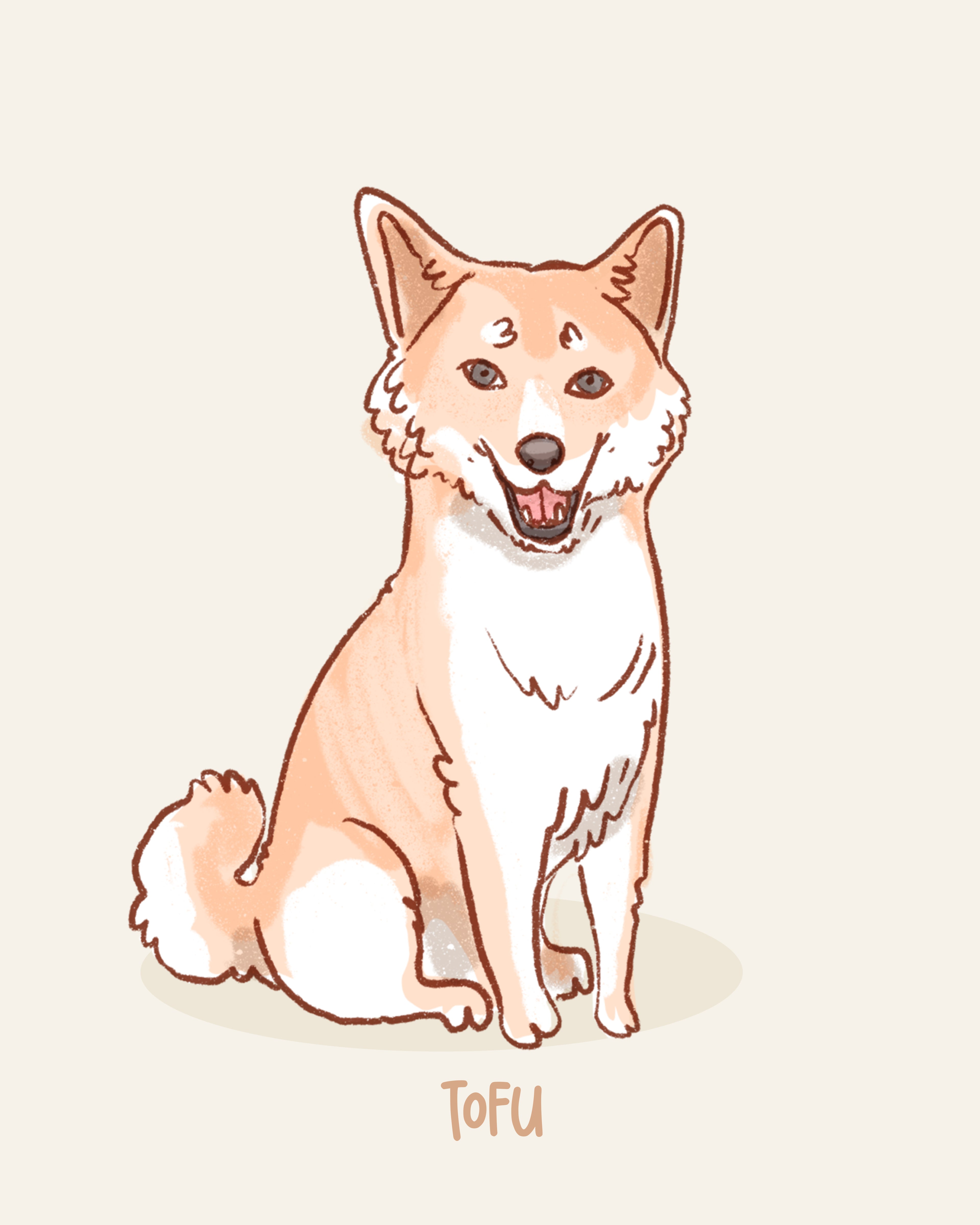 raw pet