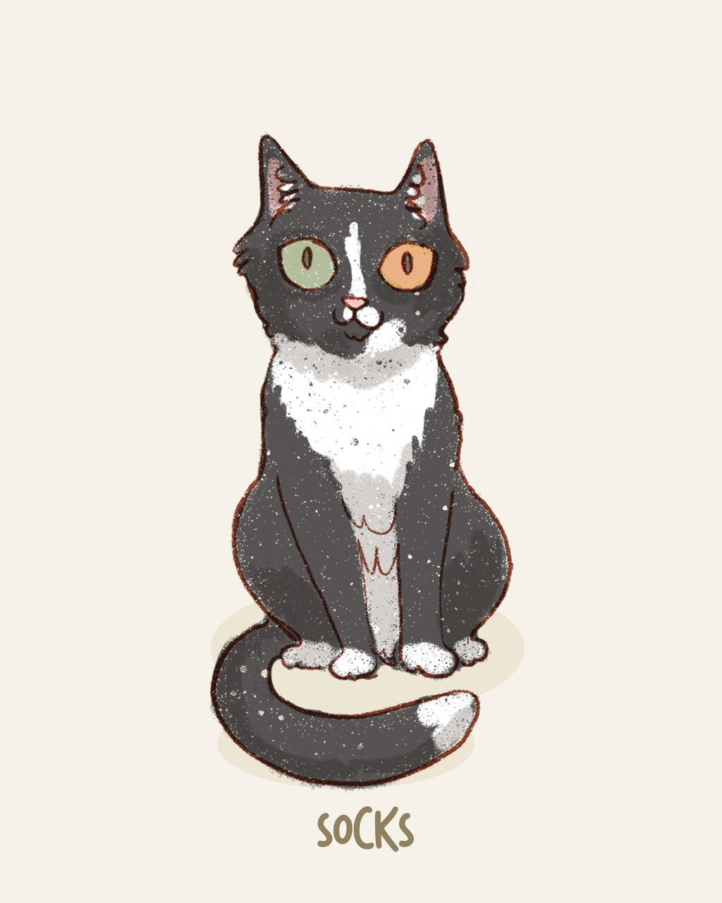 raw pet